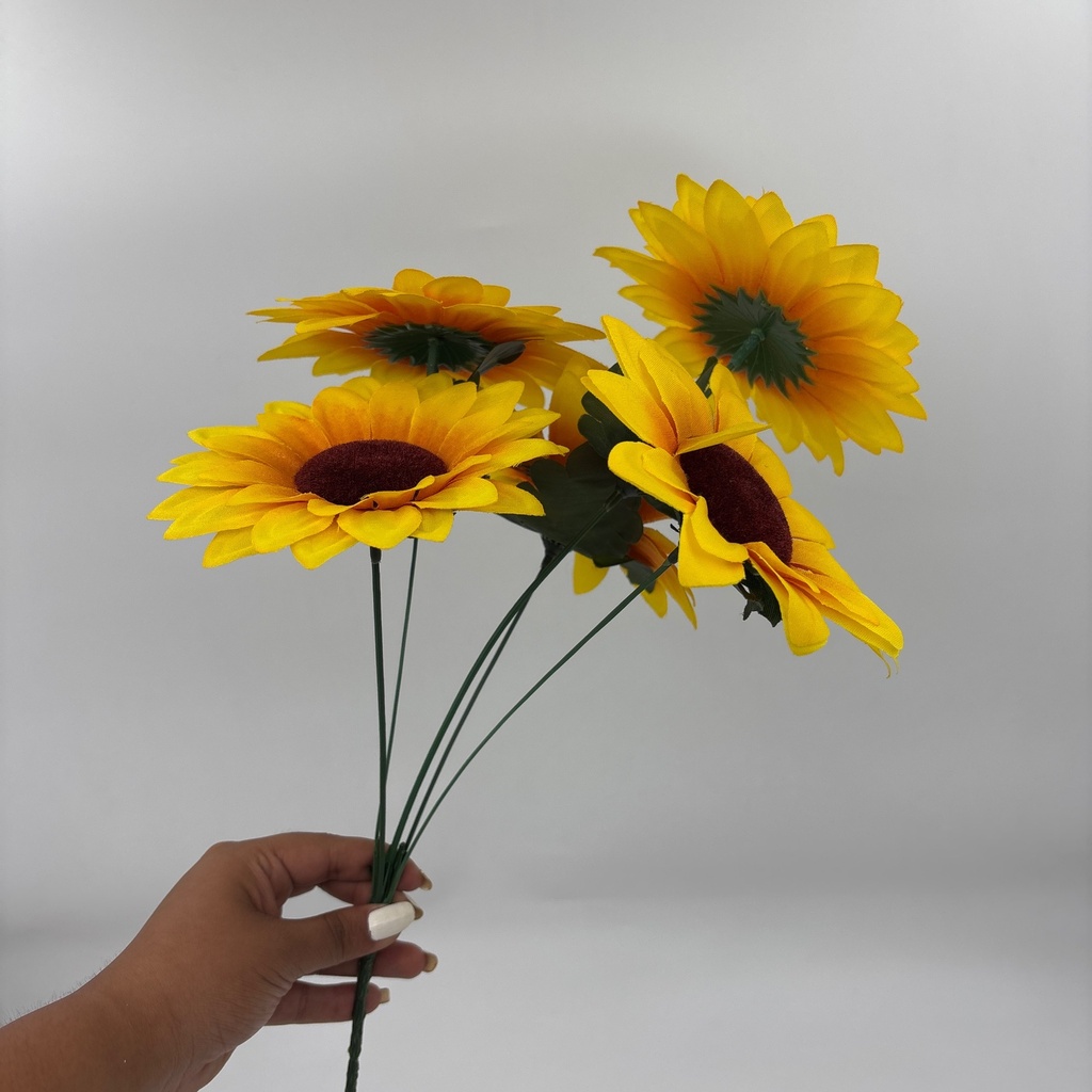 Ángulo 45° · 11207701-02.jpg