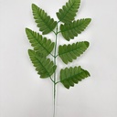 Detalle / posterior · 12400800-03.jpg