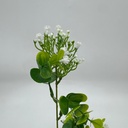 Detalle / posterior · 11209003-03.jpg