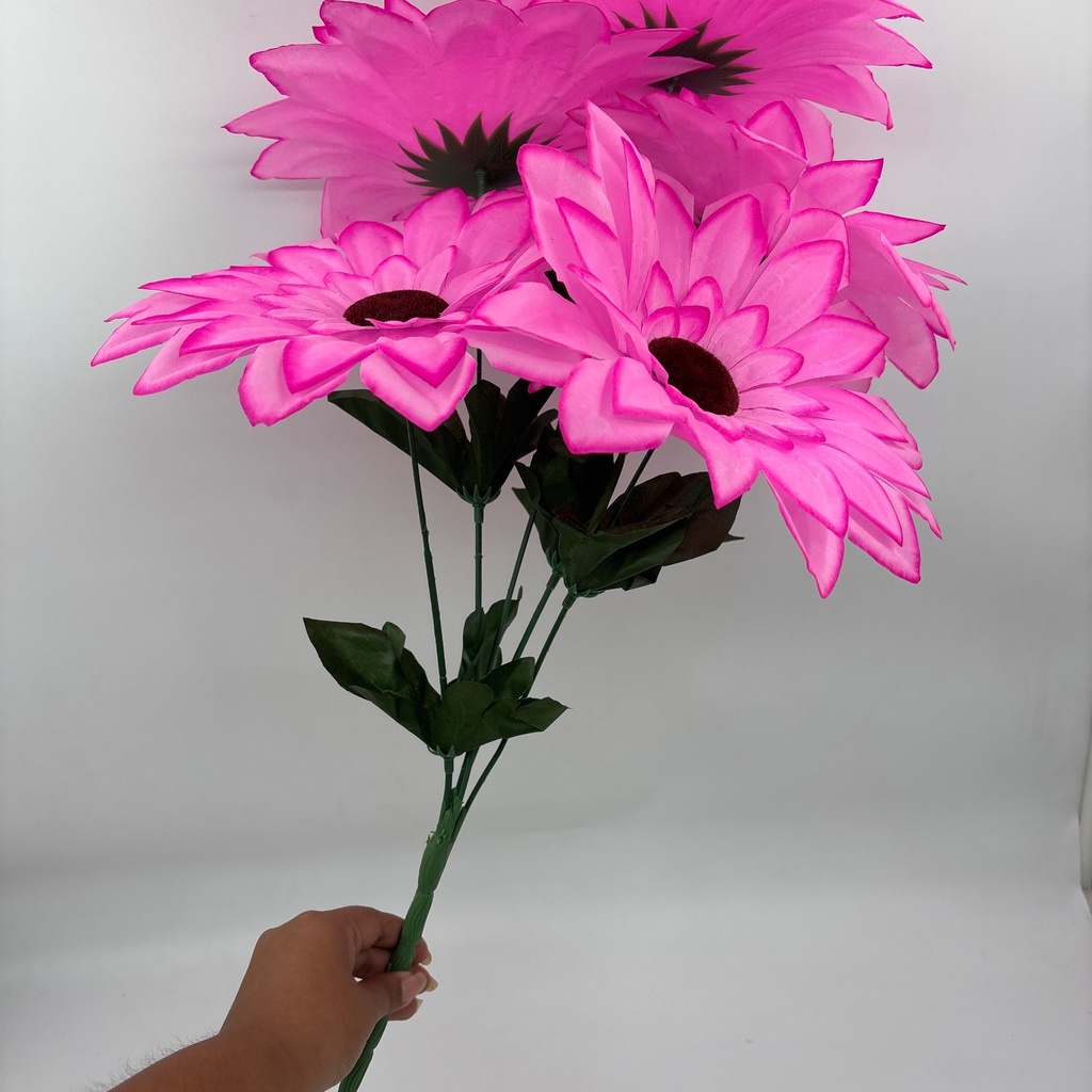 Ángulo 45° · 11210315-02.jpg