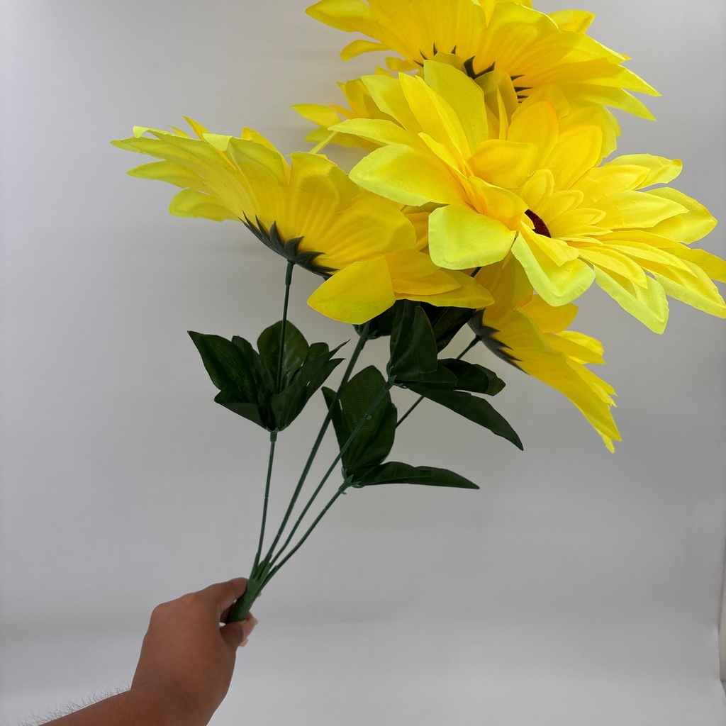 Ángulo 45° · 11210301-02.jpg