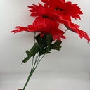 Ángulo 45° · 11210314-02.jpg
