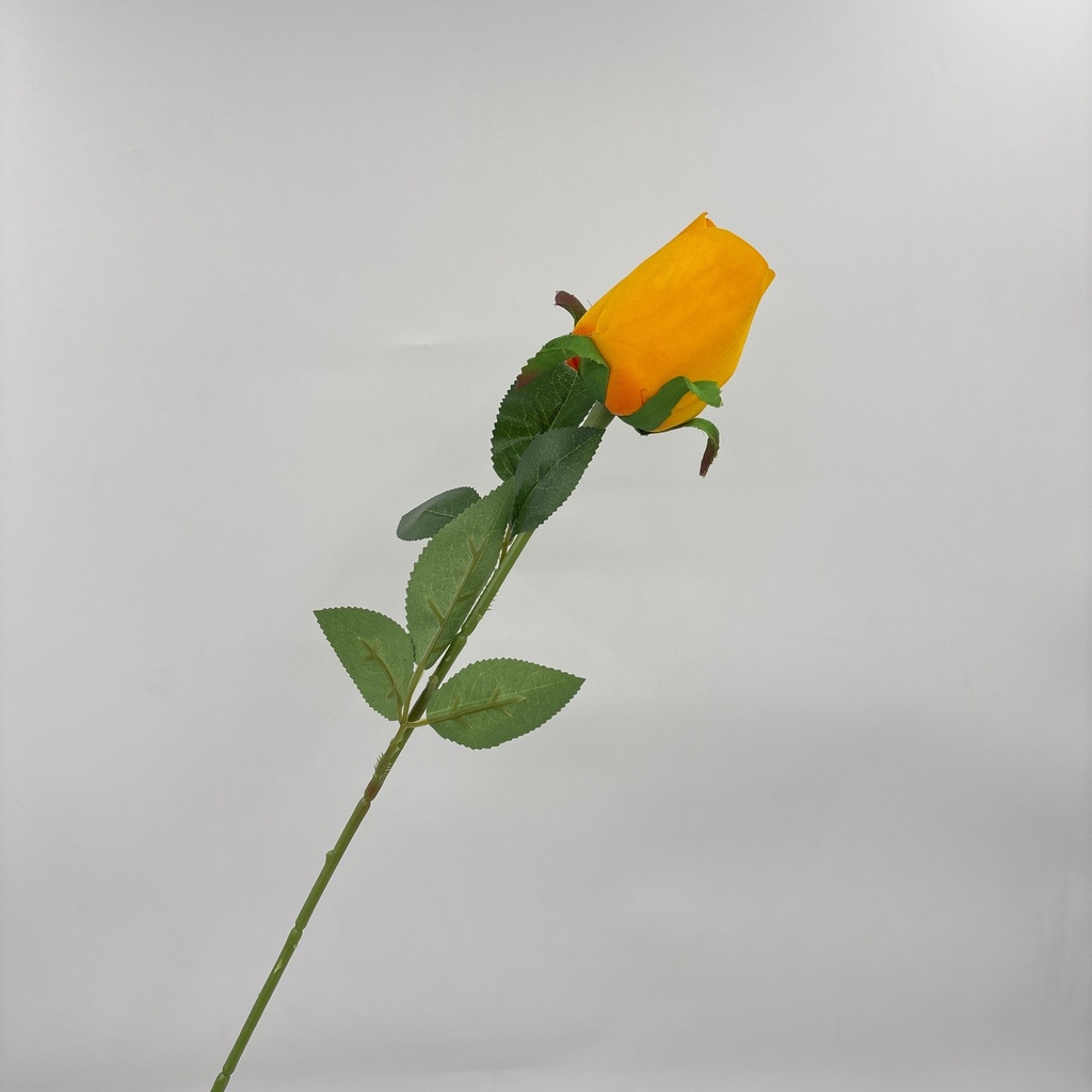 Ángulo 45° · 11103501-02.jpg