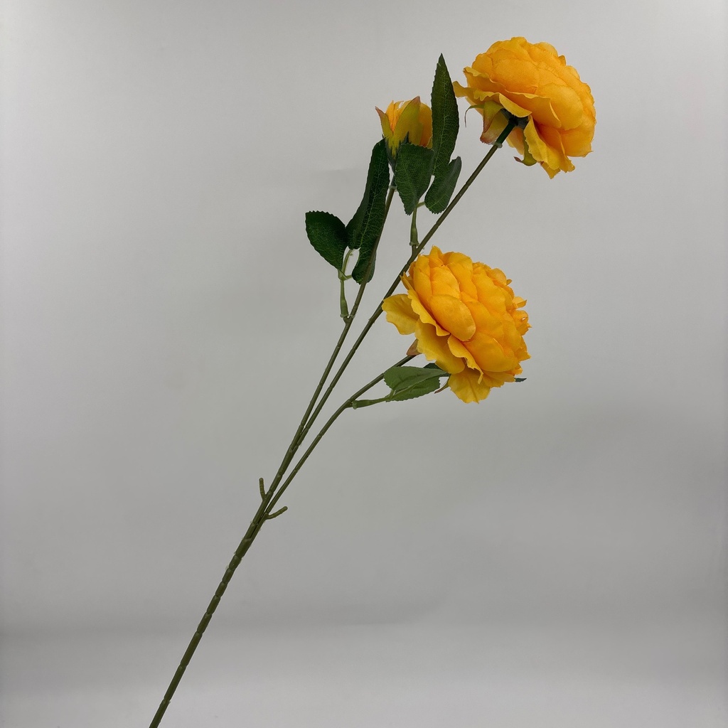 Ángulo 45° · 11101101-02.jpg