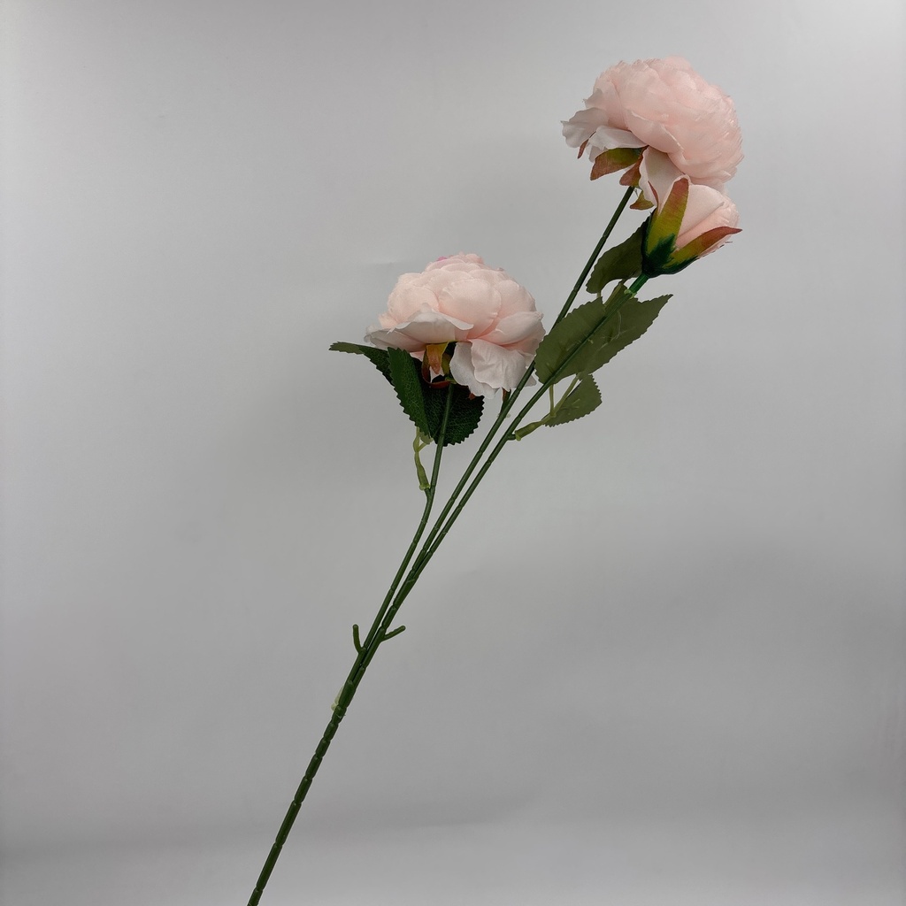 Ángulo 45° · 11101115-02.jpg