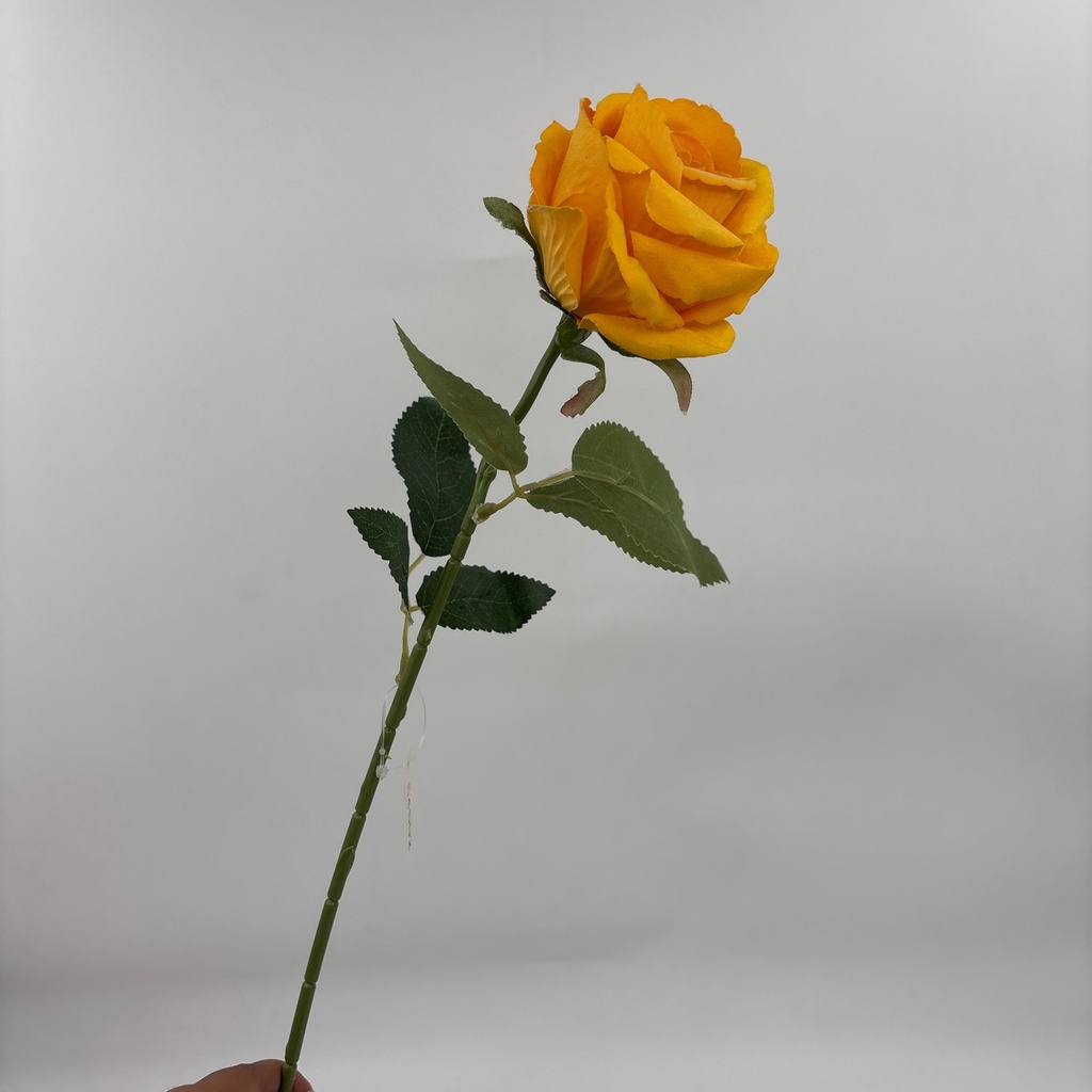 Ángulo 45° · 11104601-02.jpg