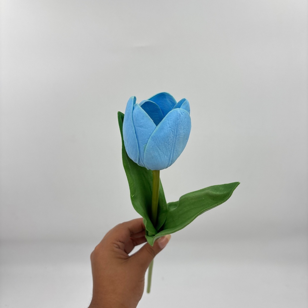 Detalle / posterior · 11105005-03.jpg