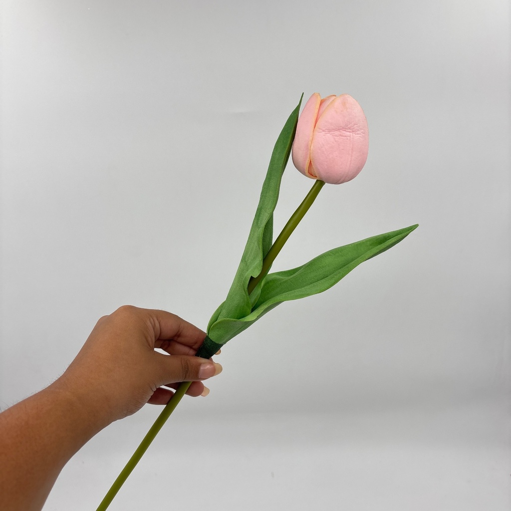 Ángulo 45° · 11105015-02.jpg
