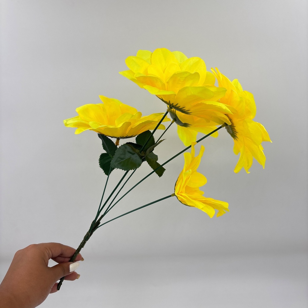 Ángulo 45° · 11209801-02.jpg