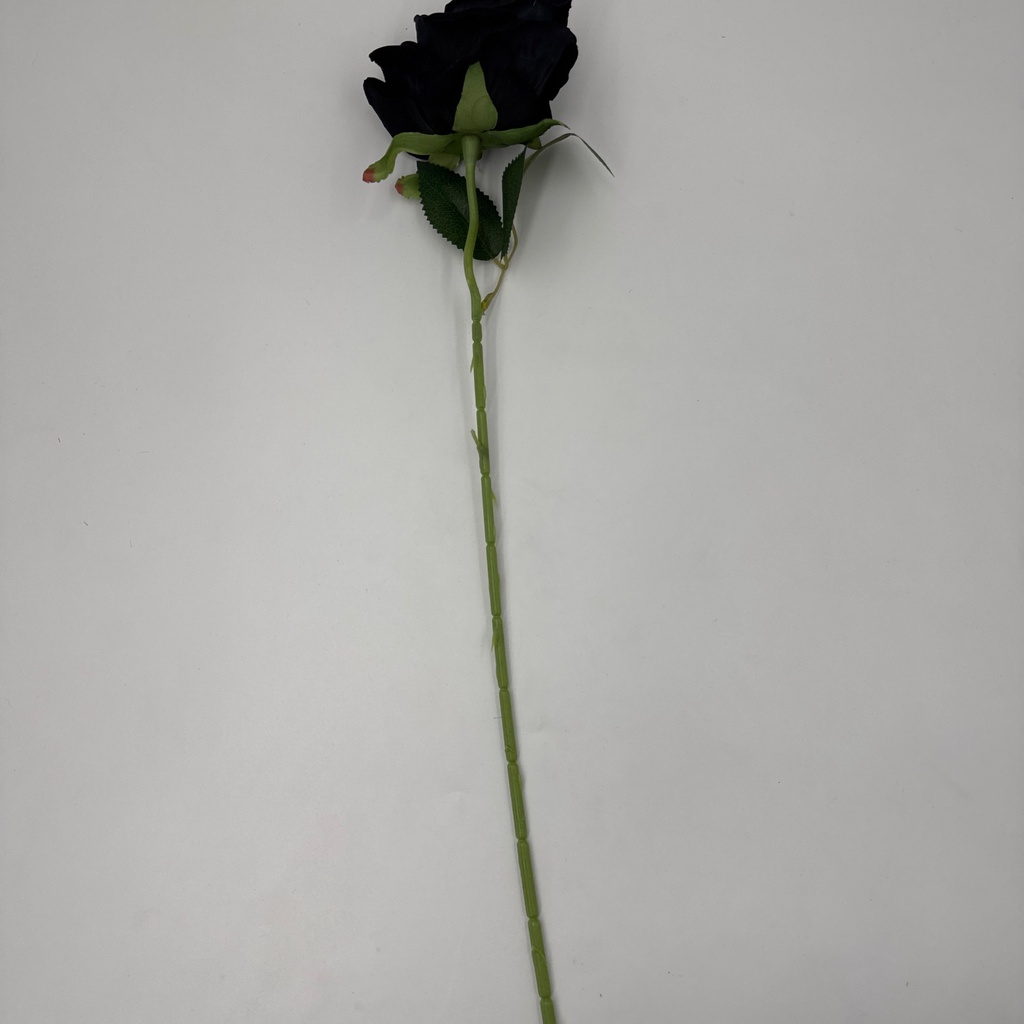 Ángulo 45° · 11104312-02.jpg