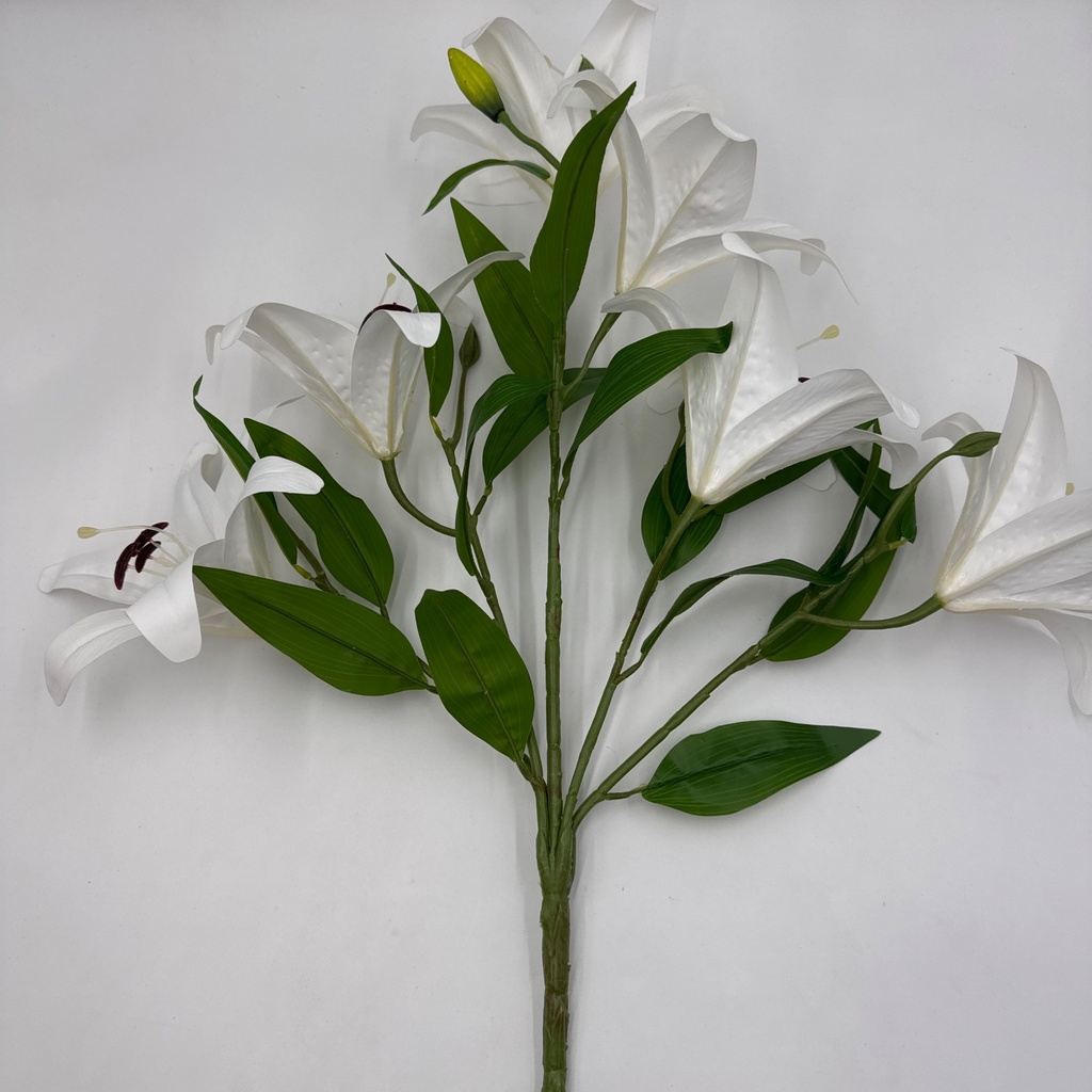Detalle / posterior · 11207003-03.jpg