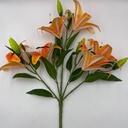 Detalle / posterior · 11207011-03.jpg