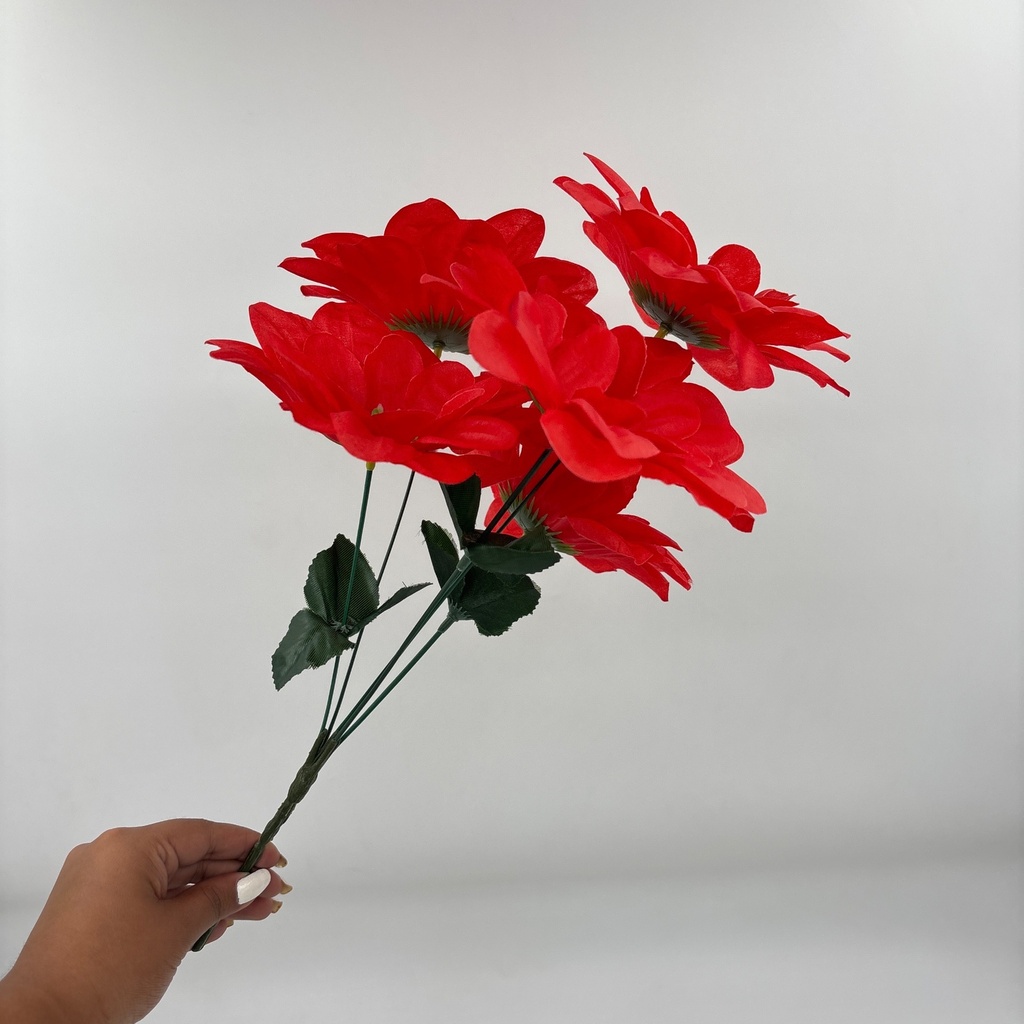 Ángulo 45° · 11209814-02.jpg