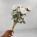 Ángulo 45° · 11207403-02.jpg