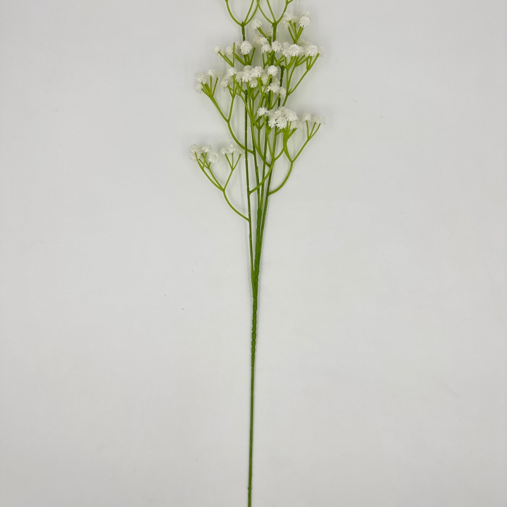 FLOR DE ARAÑA BLANCO