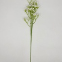 FLOR DE ARAÑA BLANCO