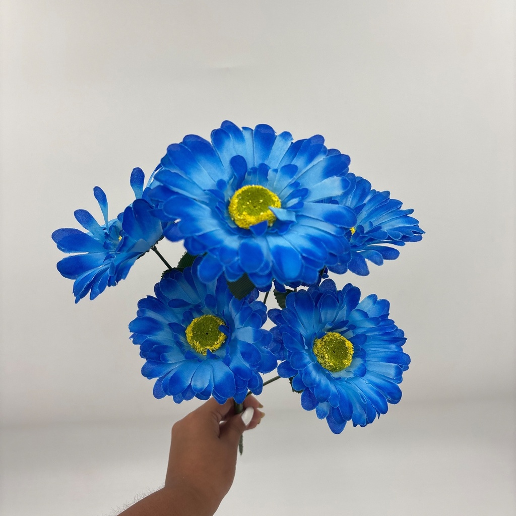 GERBERA X 6 AZUL