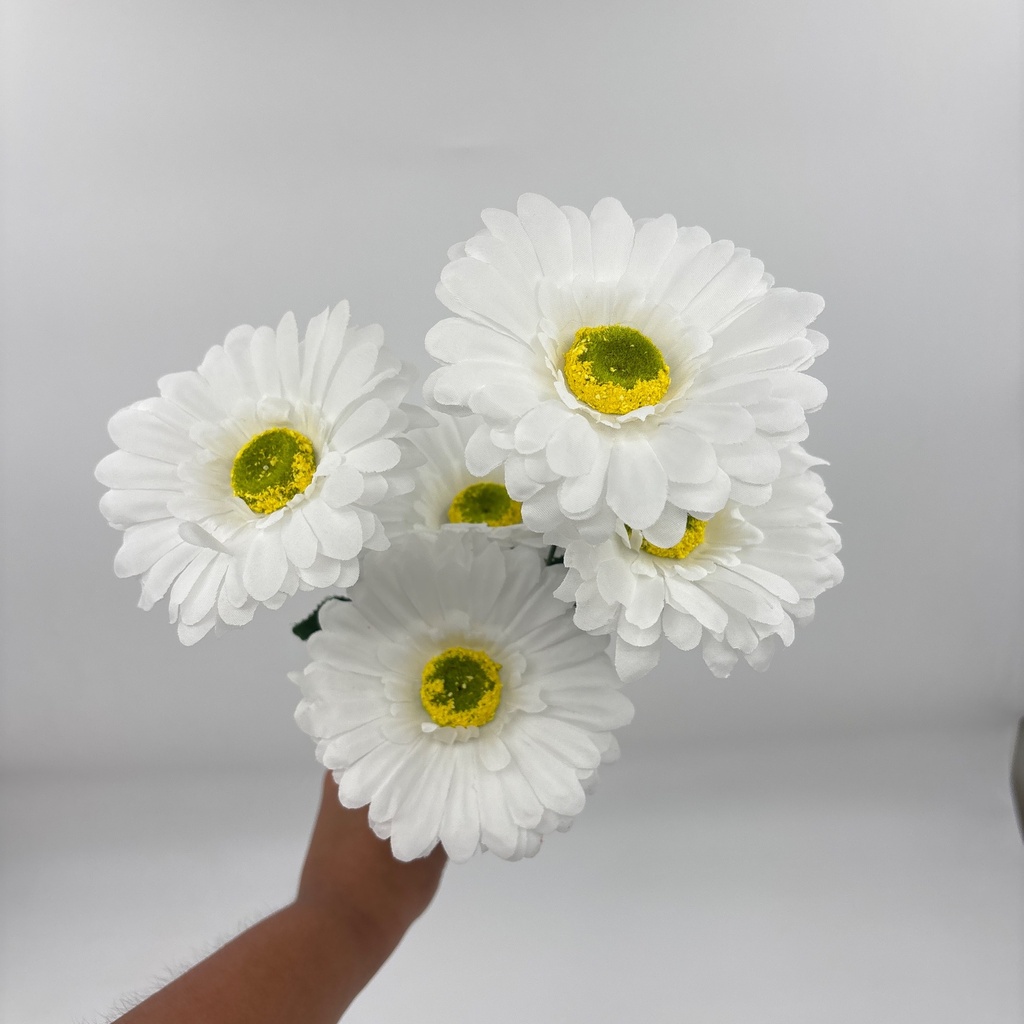 GERBERA X 6 BLANCO