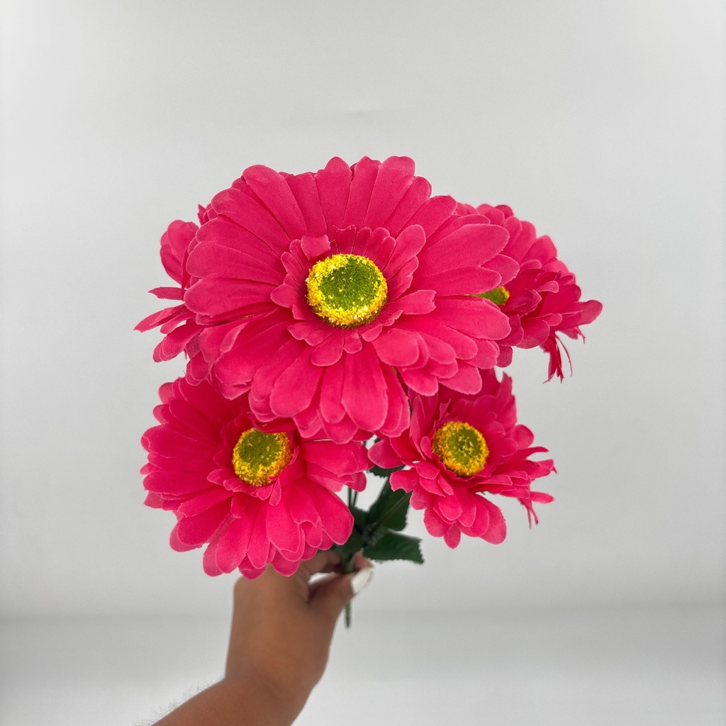 GERBERA X 6 FUCSIA