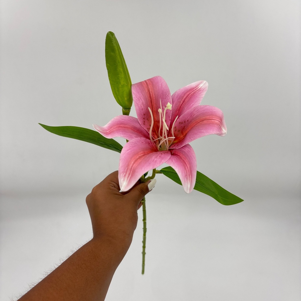 LIRIO X 1 Y UN BOTÓN ROSADO