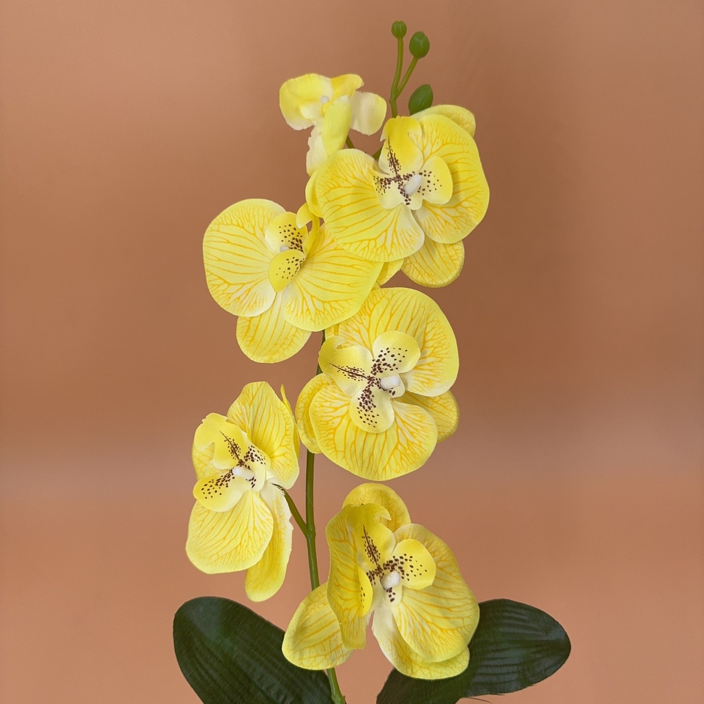 ORQUIDEA AMARILLO