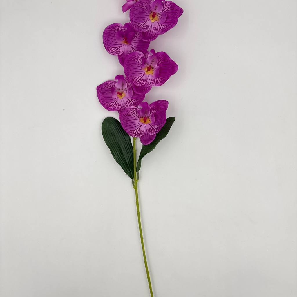 ORQUIDEA MORADO
