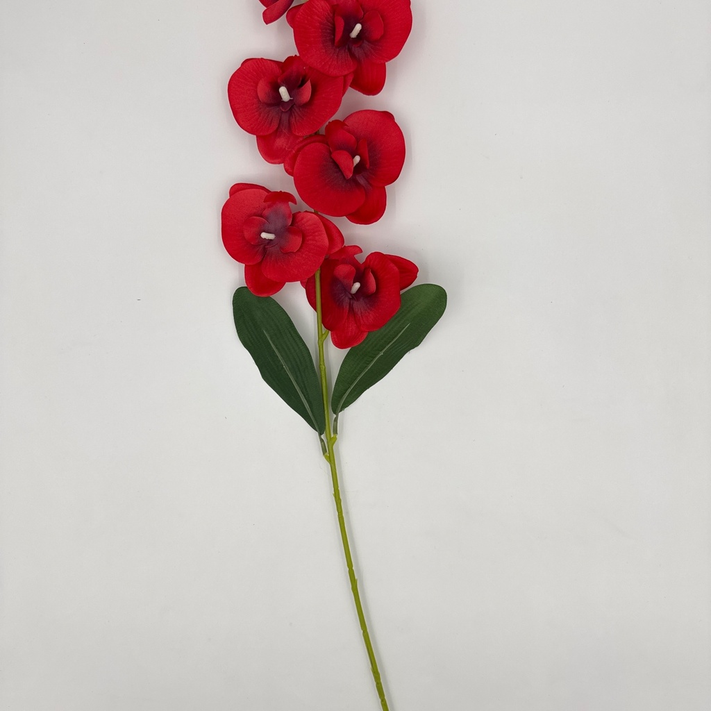 ORQUIDEA ROJO