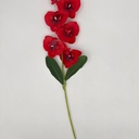 ORQUIDEA ROJO