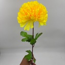POMPON X 1 AMARILLO