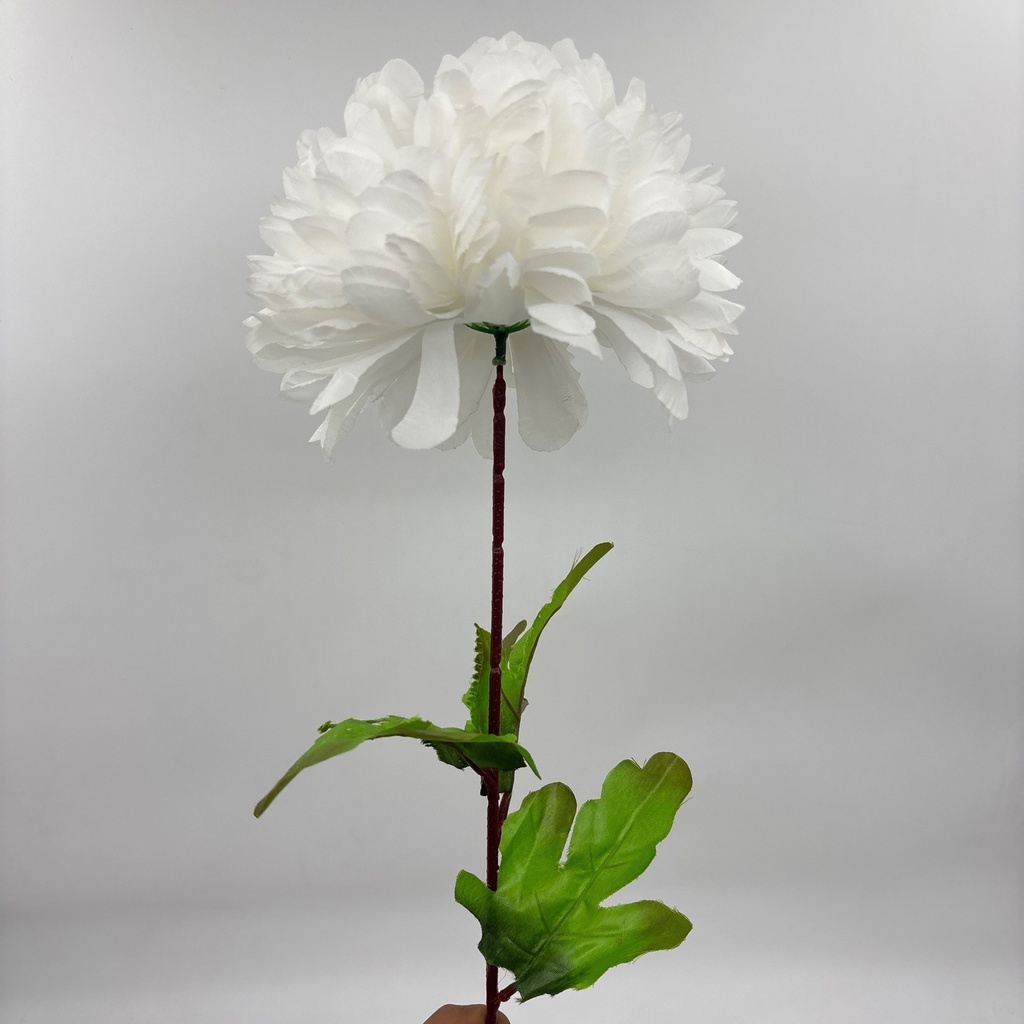 POMPON X 1 BLANCO