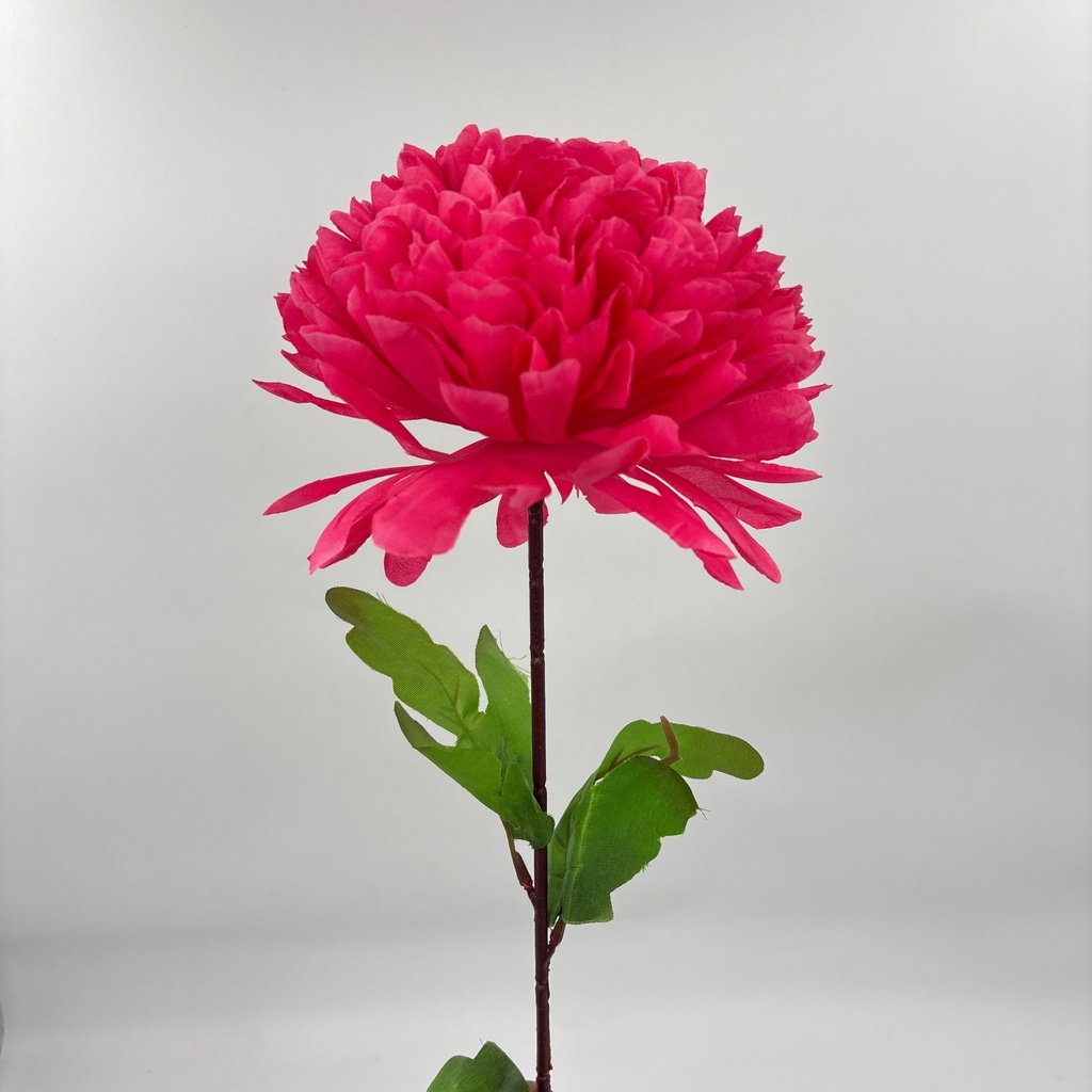 POMPON X 1 FUCSIA