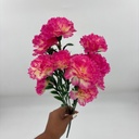 R. CLAVELLINA X 12 FUCSIA