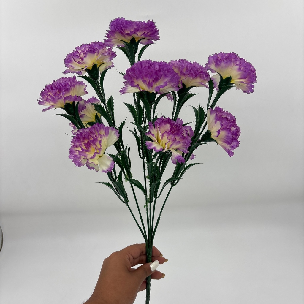 R. CLAVELLINA X 12 MORADO