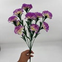 R. CLAVELLINA X 12 MORADO