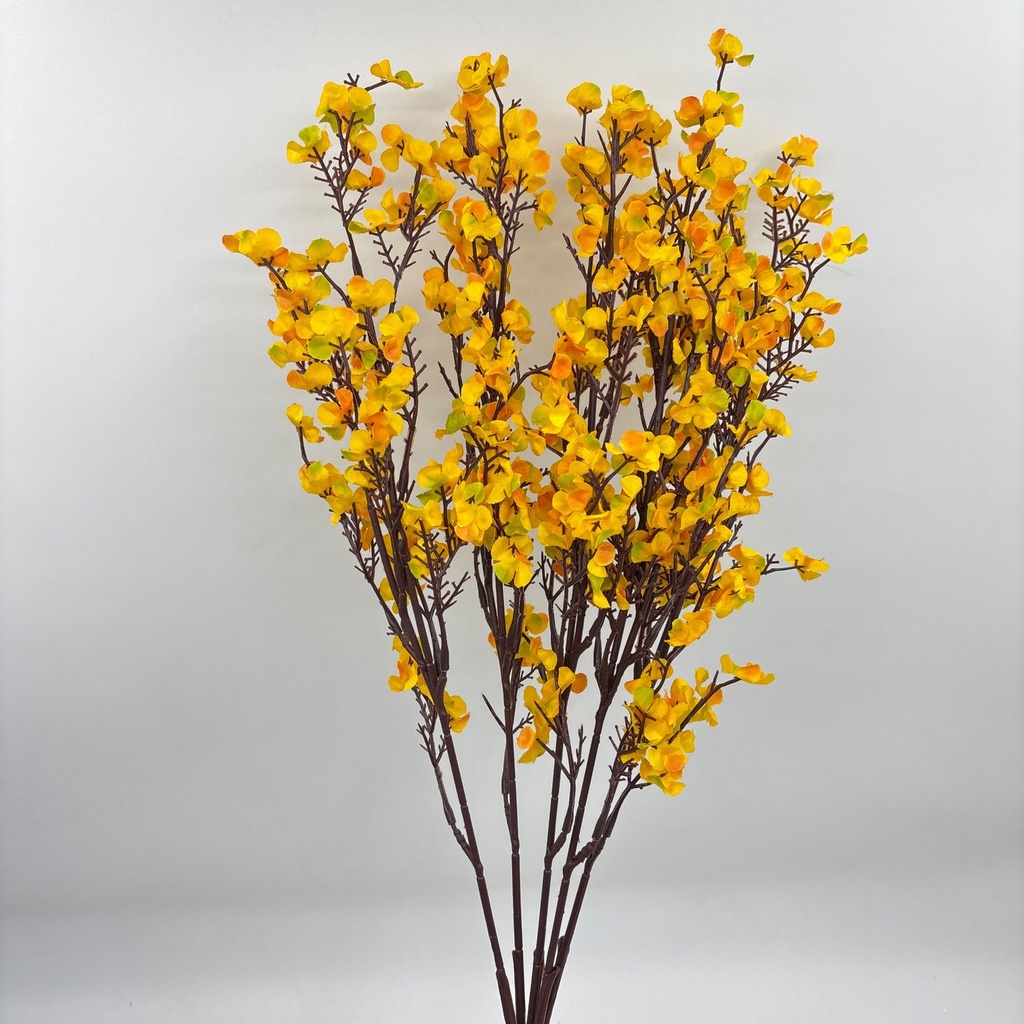 R. DE EXOFILIA AMARILLO