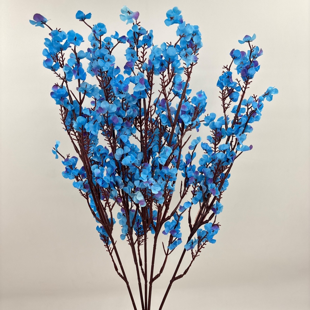 R. DE EXOFILIA AZUL