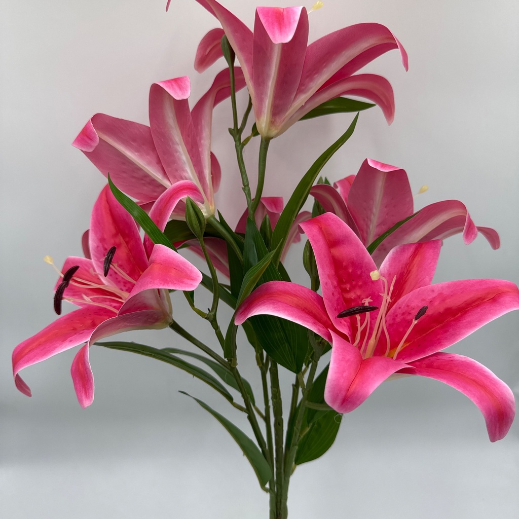 R. LIRIO X 6 Y 3 BOTÓN FUCSIA