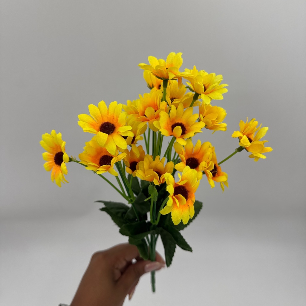 R. MINI GIRASOL CENTRO NEGRO X 22