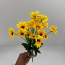 R. MINI GIRASOL CENTRO NEGRO X 22