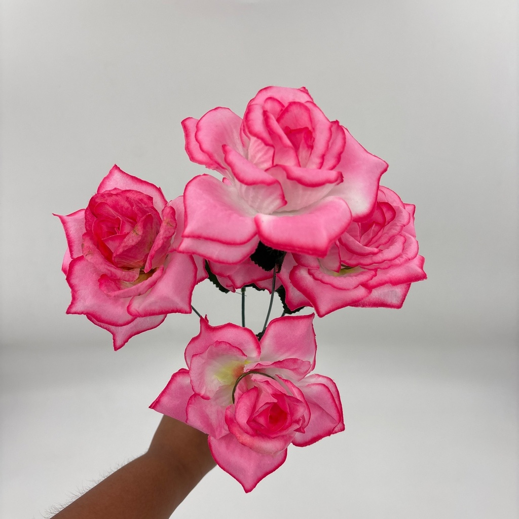 R. ROSA X 5 TRADICIONAL ROSADO