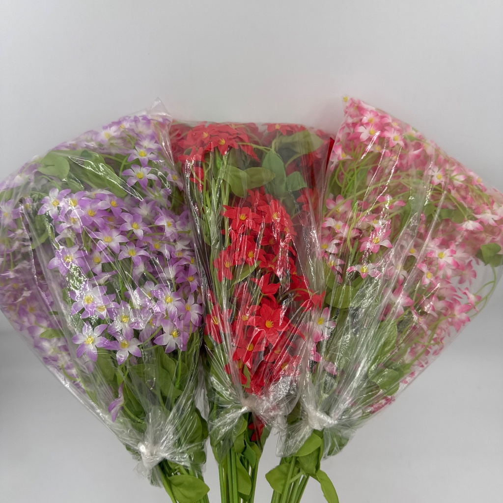 ROLLO EXOFILIA FLOR PICUDA MULTICOLOR
