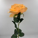 ROSA IMPERIAL SALMÓN