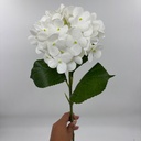 V. HORTENSIA X 1 BLANCO