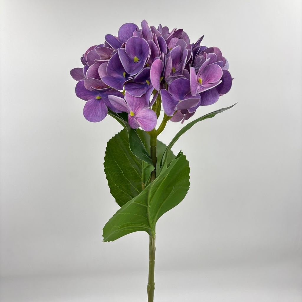V. HORTENSIA X 1 MORADO