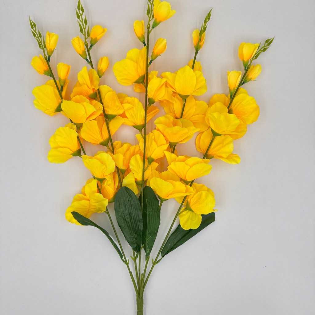 R. GLADIOLA X 5 AMARILLO