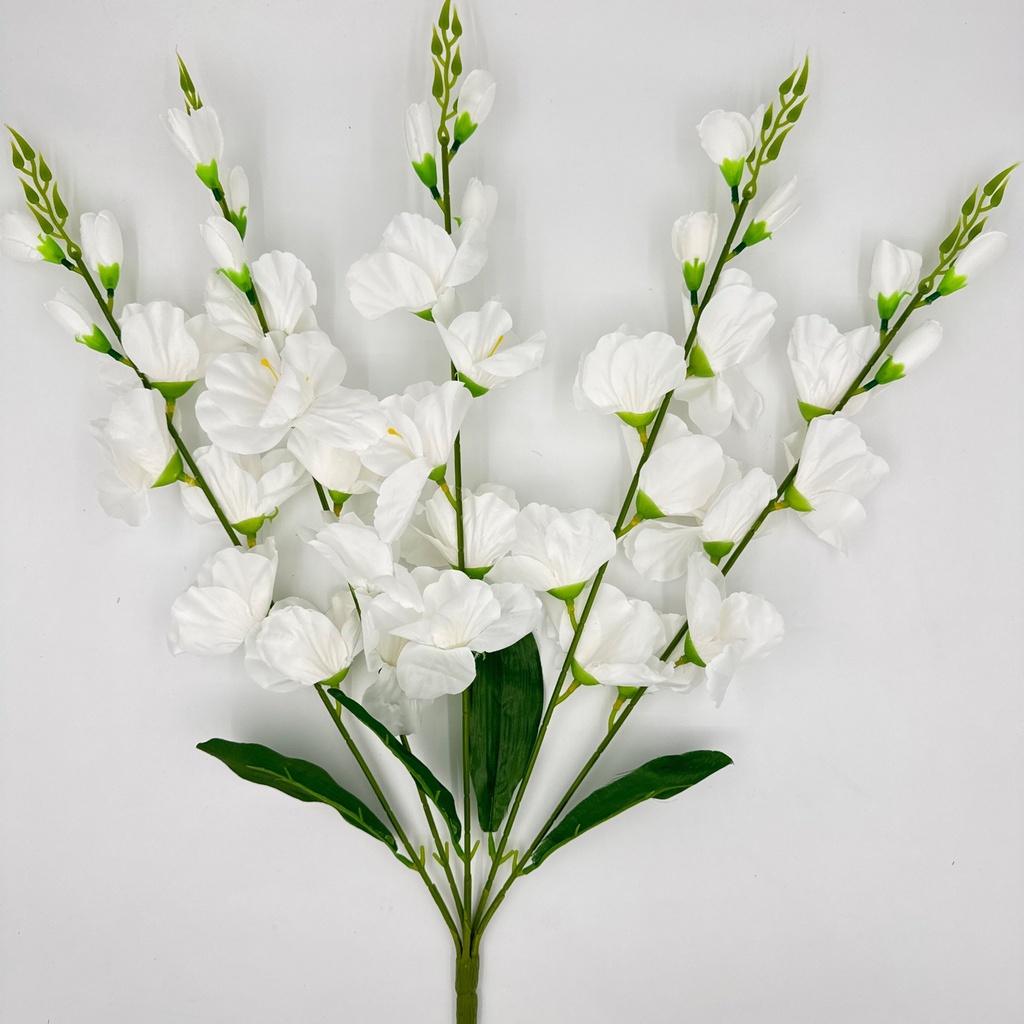 R. GLADIOLA X5 BLANCO