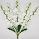 R. GLADIOLA X5 BLANCO