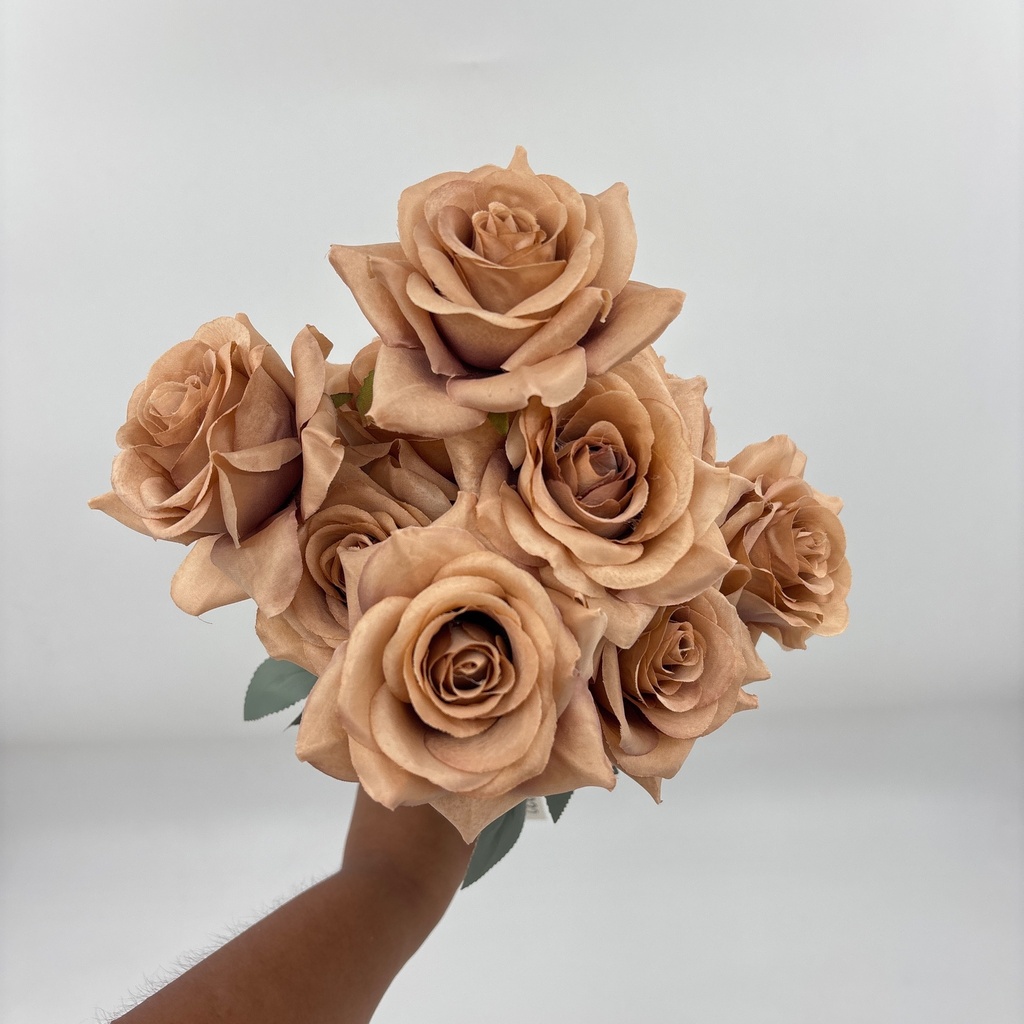 R. ROSA MONDIAL X 9 ROSA VIEJA