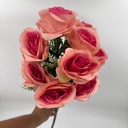 R. ROSA WANJUN X 12 C/ BABY MELOCOTÓN