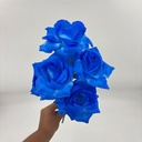 R. ROSA X 5 TRADICIONAL AZUL